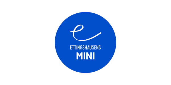 2026 Mini Division